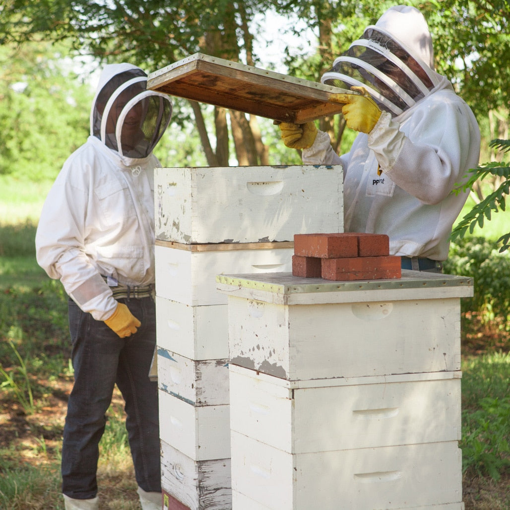 Ben and Eric opening the hives during honey harcvest