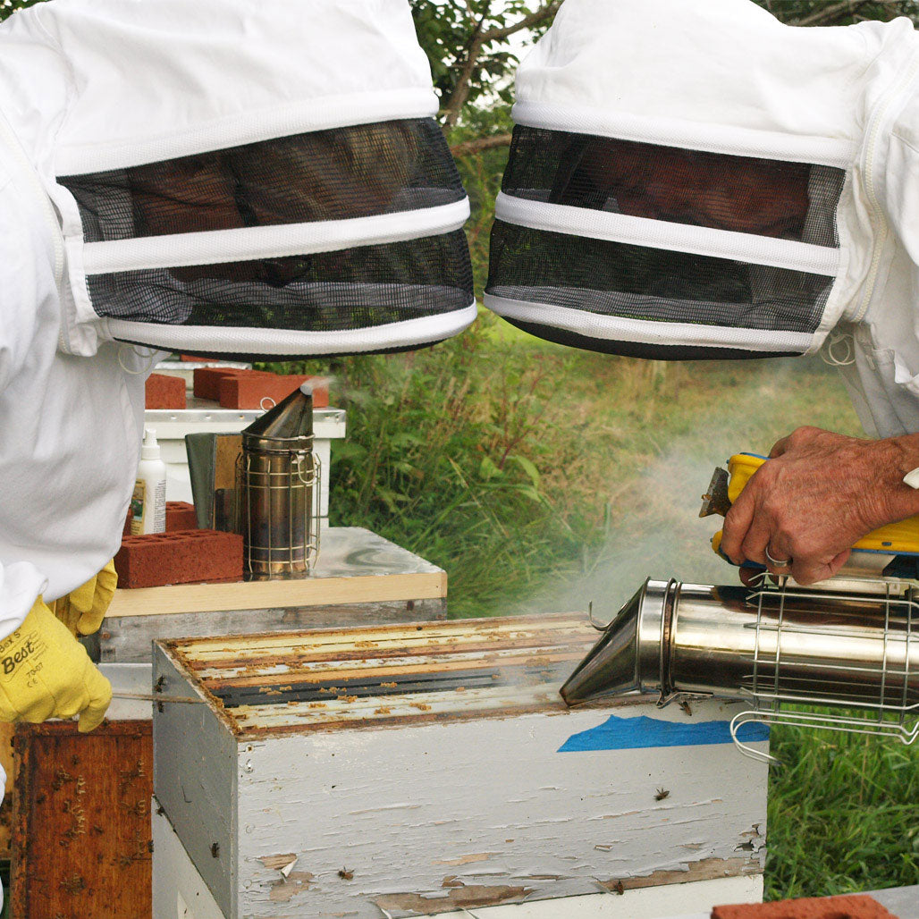 Dale and Kara at the hives, preparing for harvest