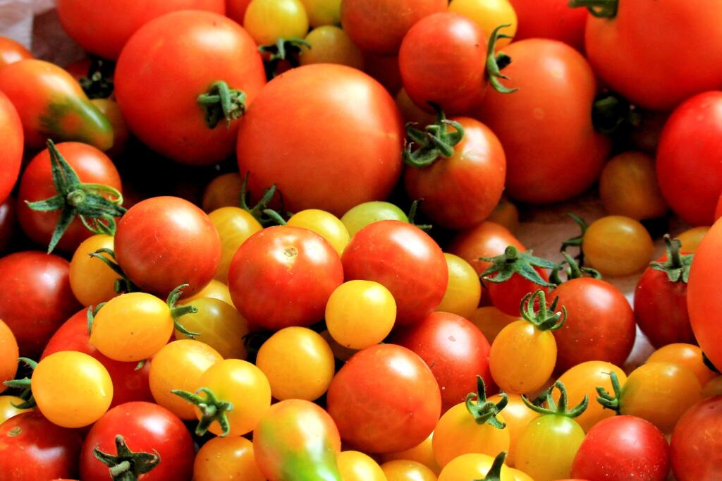 Mixed cherry tomatoes