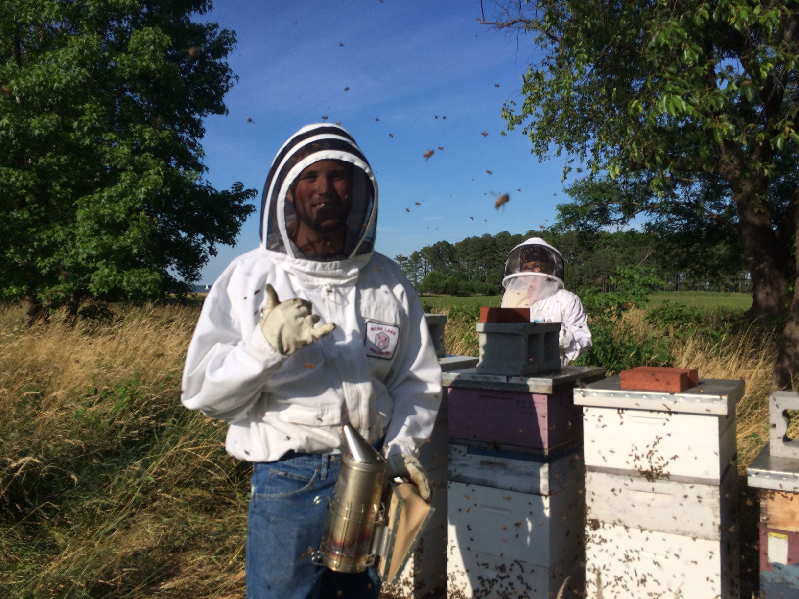 spring honey harvest with jack