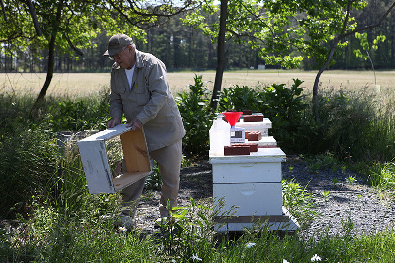 jerry fischer maryland beekeeper