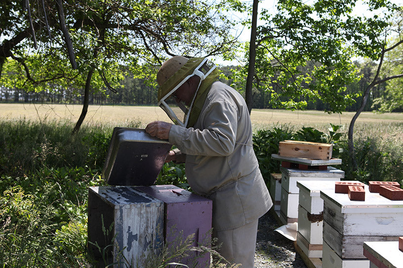 jerry fischer maryland beekeeper