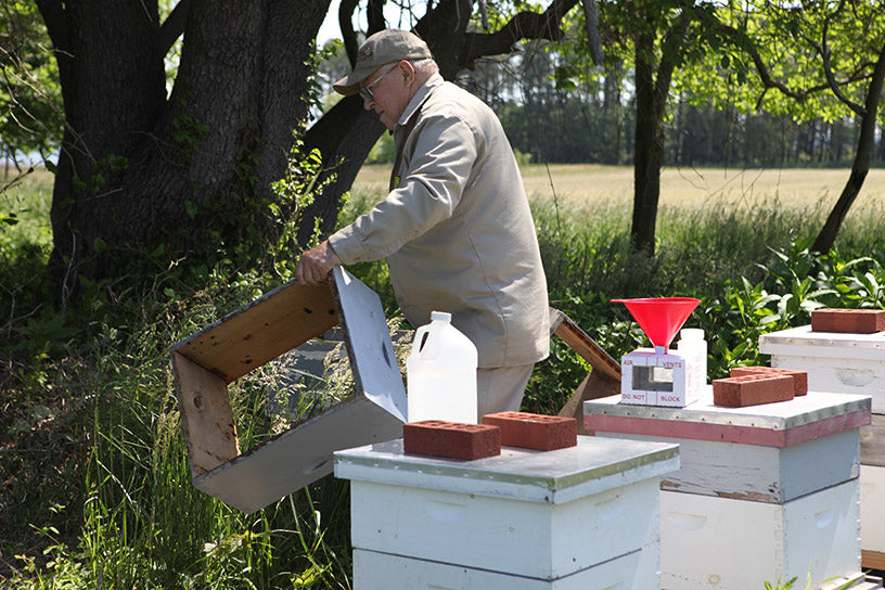 jerry fischer maryland beekeeper