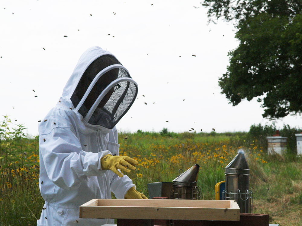 Kara at the hive for how to treat a bee sting piece