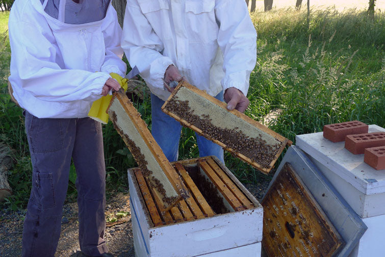 Dale and I in the bee yard installing bees in 2013