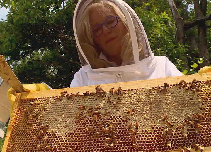 Picture of Kara in bee suit holding a honeycomb rack of bees