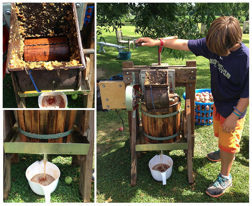 Old Fashioned Apple press making apple cider