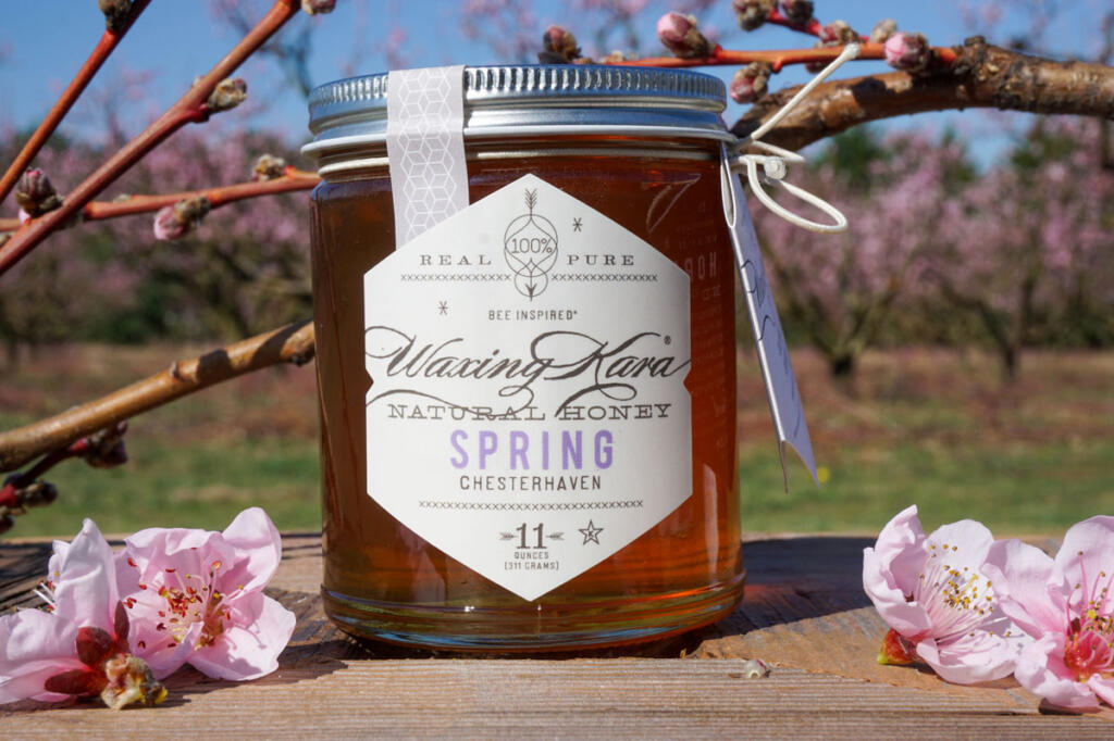 spring honey on wood with cherry blossoms