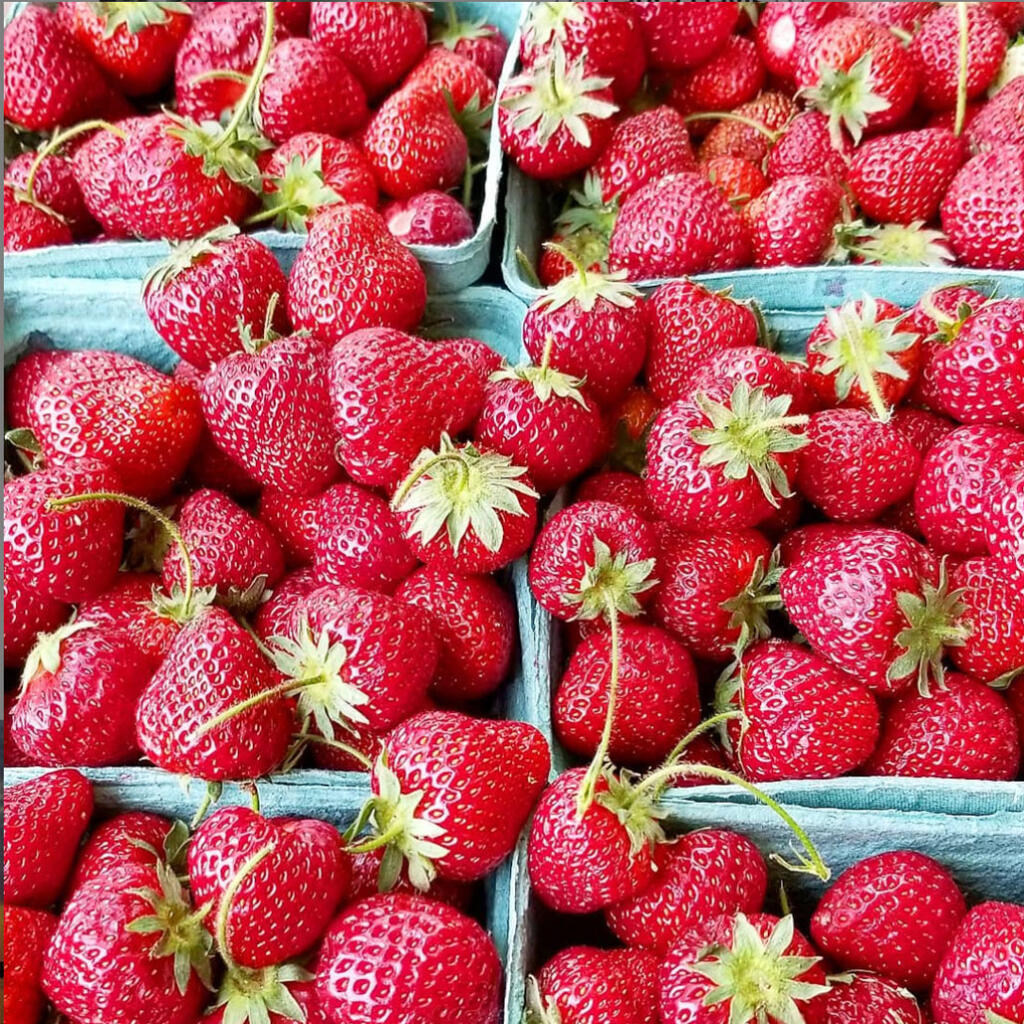 Baskets of fresh strawberries from a farmer's market sit next to each other ready for strawberry recipes in late spring