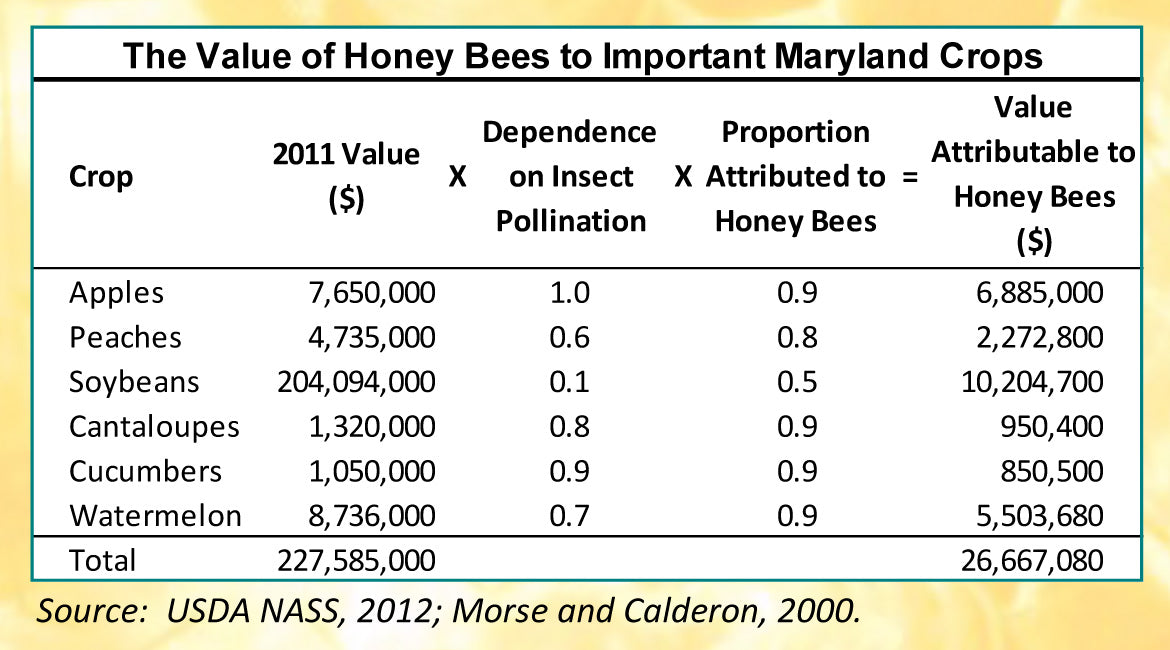 Honey Bees  University of Maryland Extension