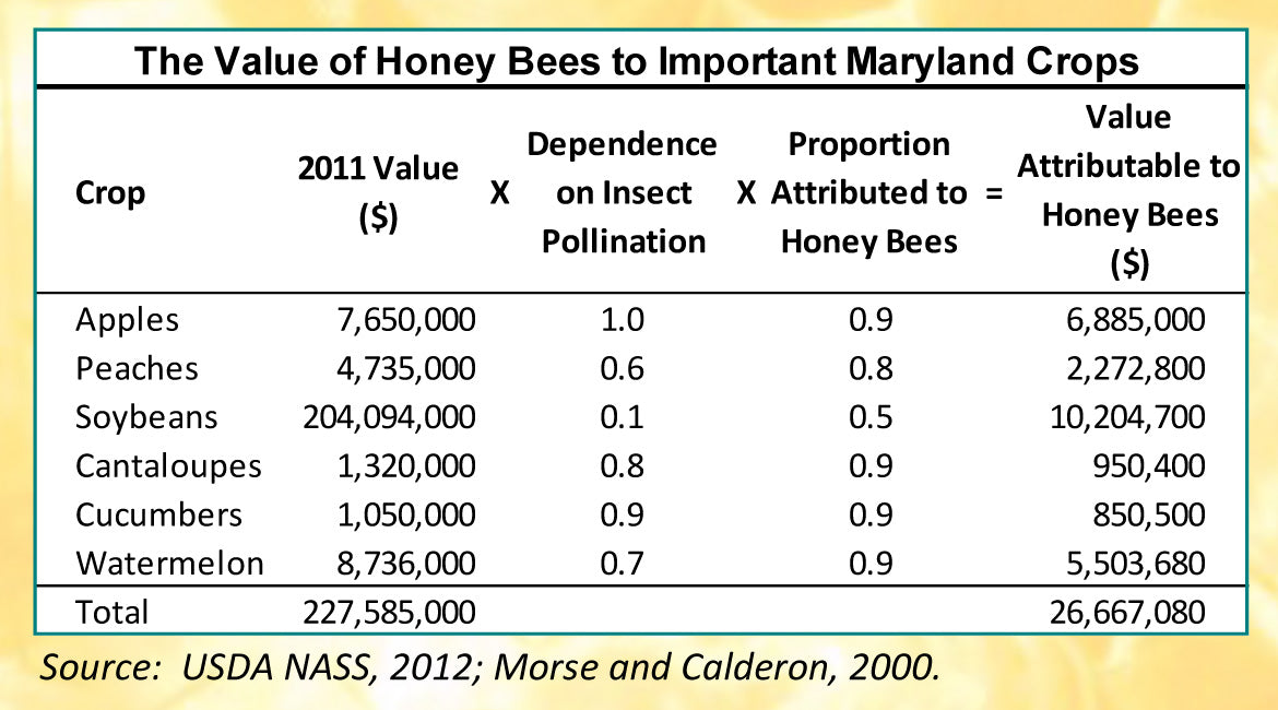value-of-honeybees