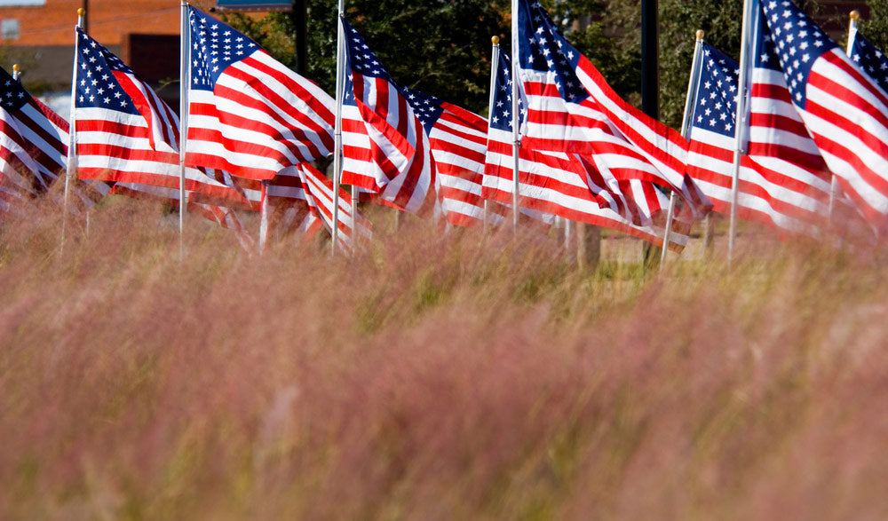 Field of flags in warm light and tall autumn grasses for Veterans Day and Memorial Day