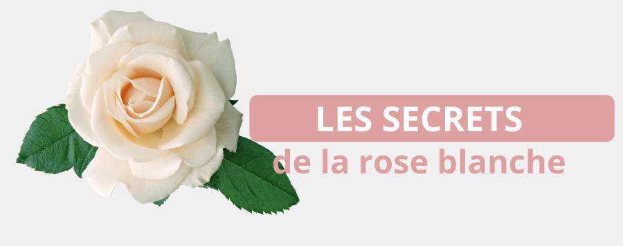 La Rose Blanche : Signification et Symbole | Royaume Éternel
