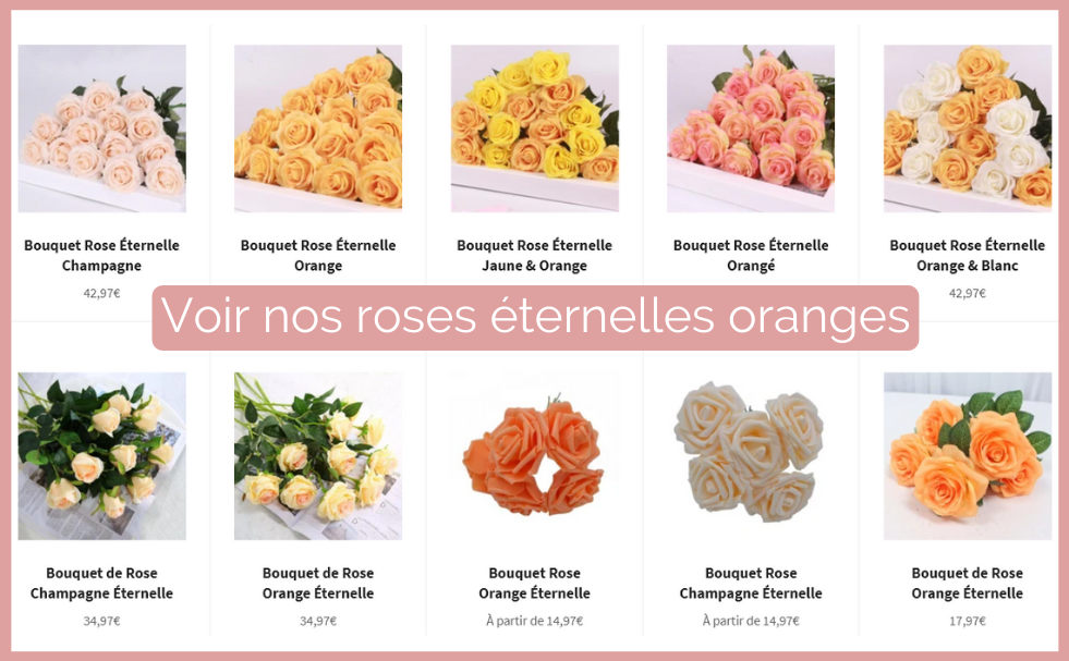 nos roses eternelles oranges