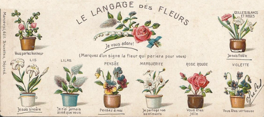 langage des fleurs