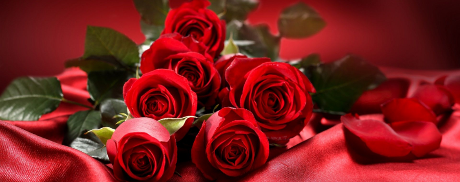 Rose Rouge : Signification et Symbole | Royaume Éternel