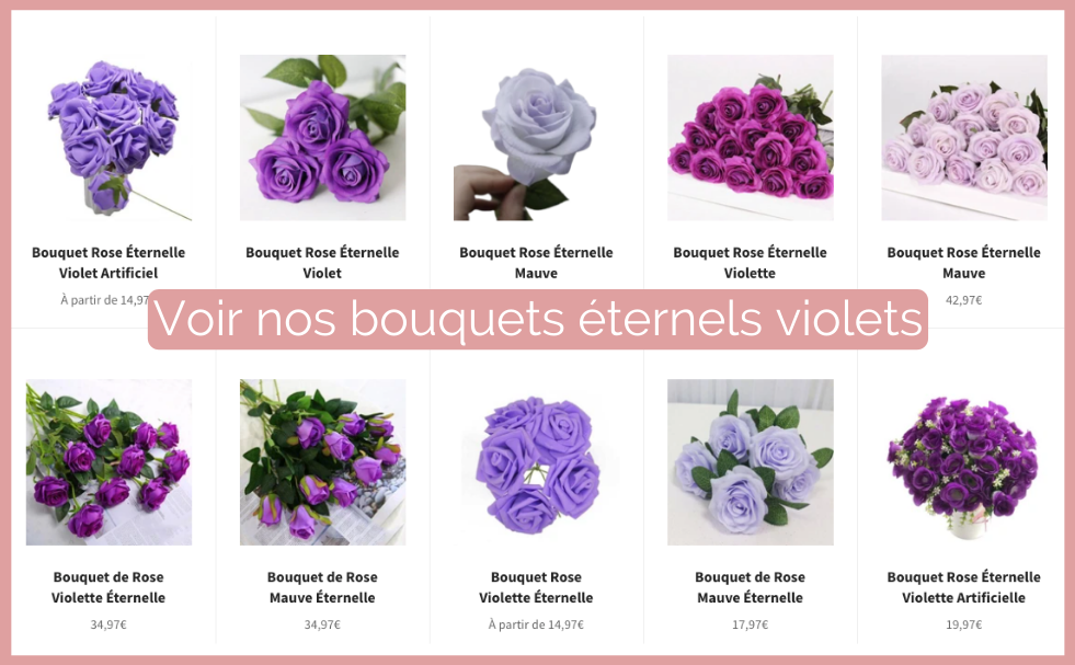 Rose Violette : Signification en image | Royaume Éternel