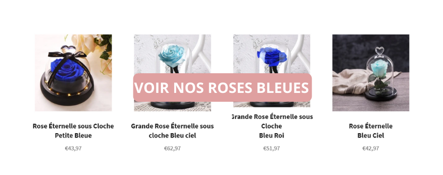 Nos roses bleues