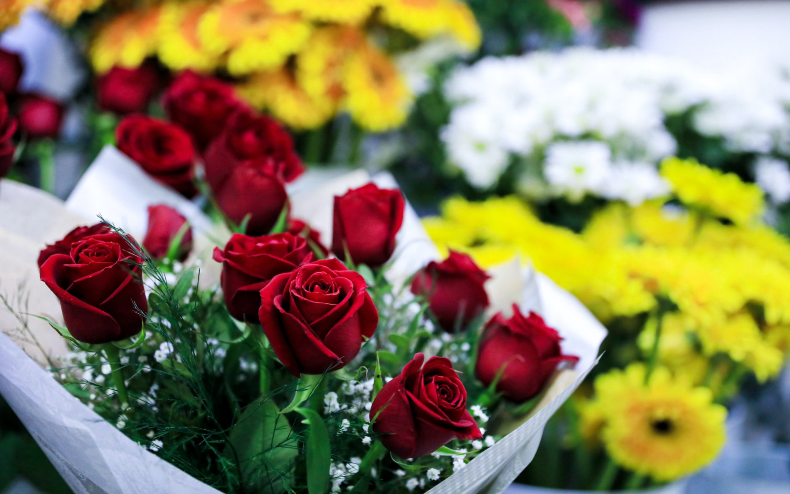 offrir un bouquet de rose éternelle