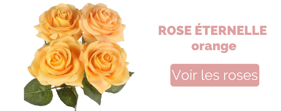 Rose Orange : signification et symbole | Royaume Éternel