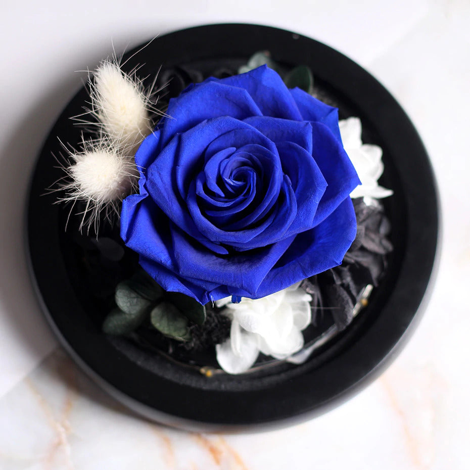 Rose Éternelle sous Petite Cloche Bleue | Royaume Éternel