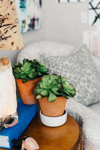 Flower Plus on Bayview - toronto - leaside - succulent bedside table