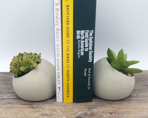 Flower Plus on Bayview - toronto - leaside - succulent bookend