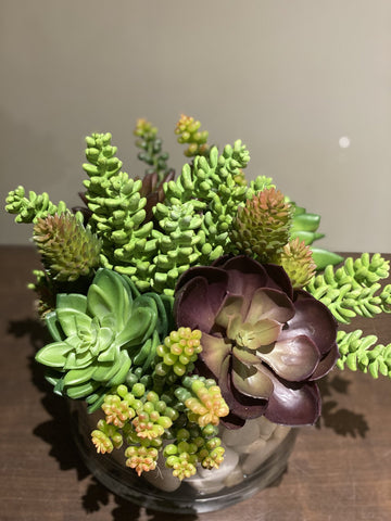 Flower Plus - fresh flower arrangements - baibiew - leaside - medium succulent arrangement