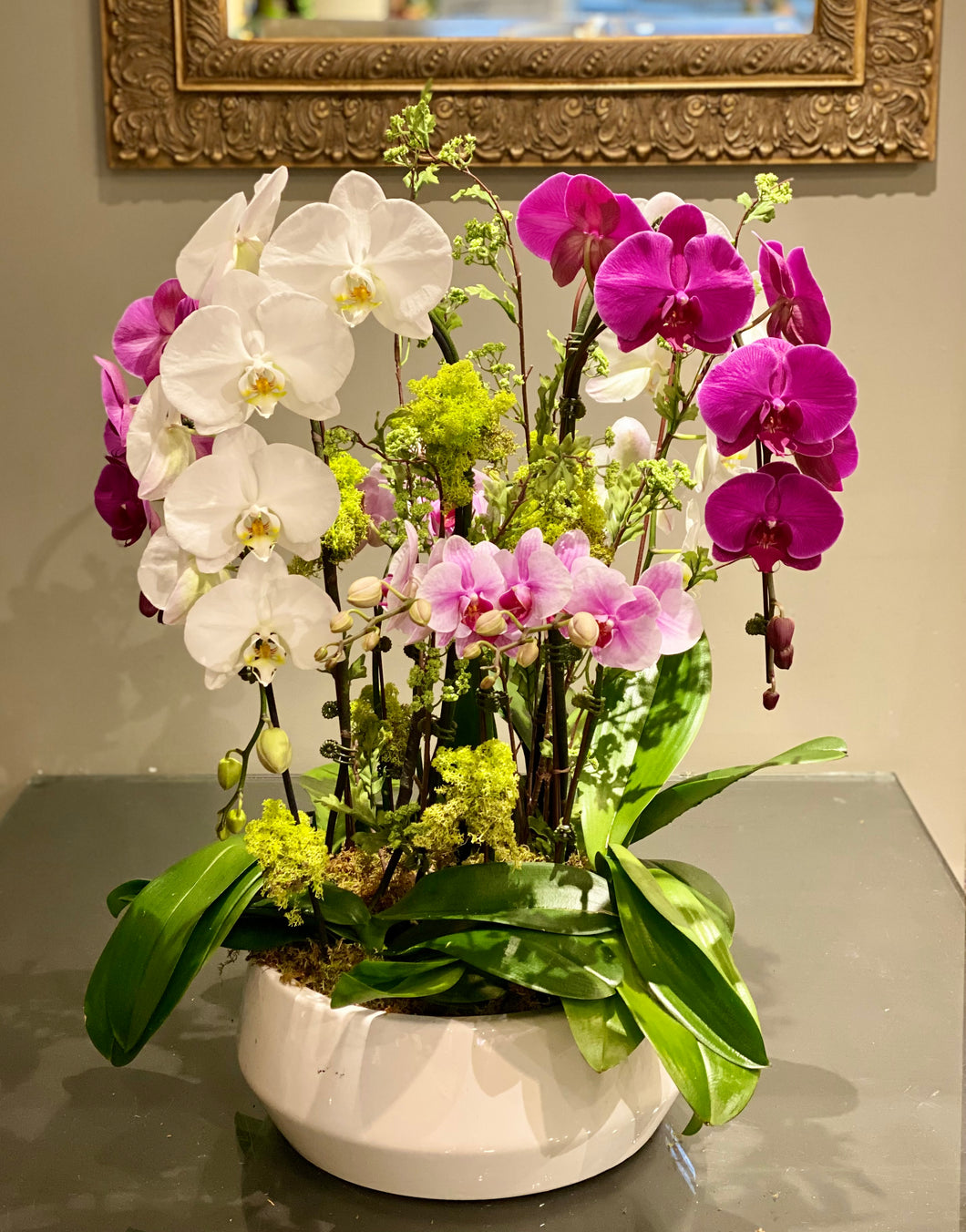 P61 - Luxurious Orchid Arrangement in white planter - Flowerplustoronto
