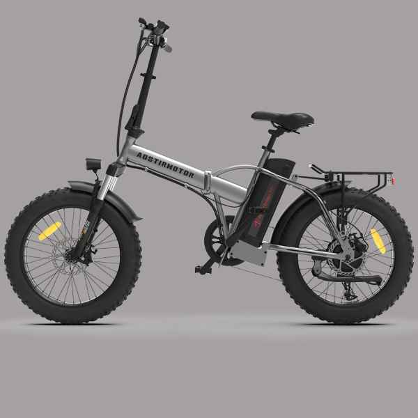 Aostirmotor 750W Folding Electric Bike A30