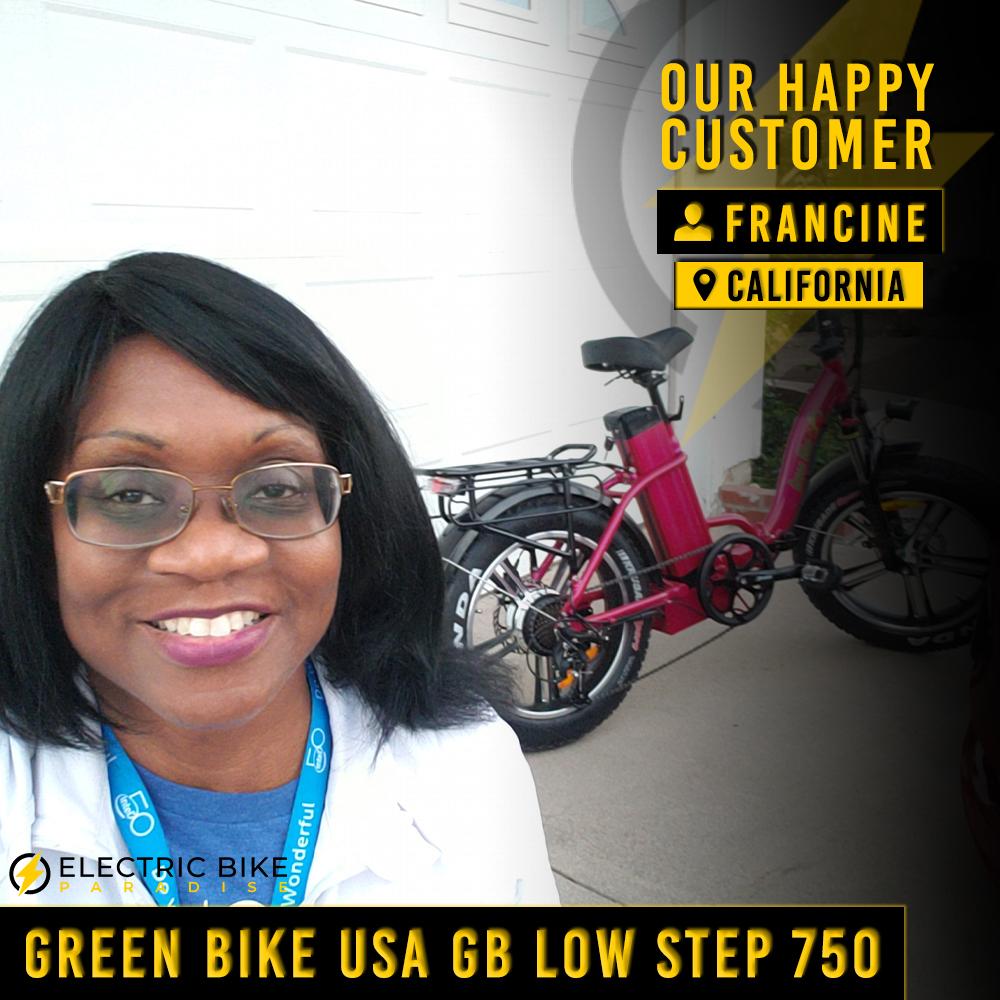 green bike usa gb750 48v 750w fat tire low step electric bike