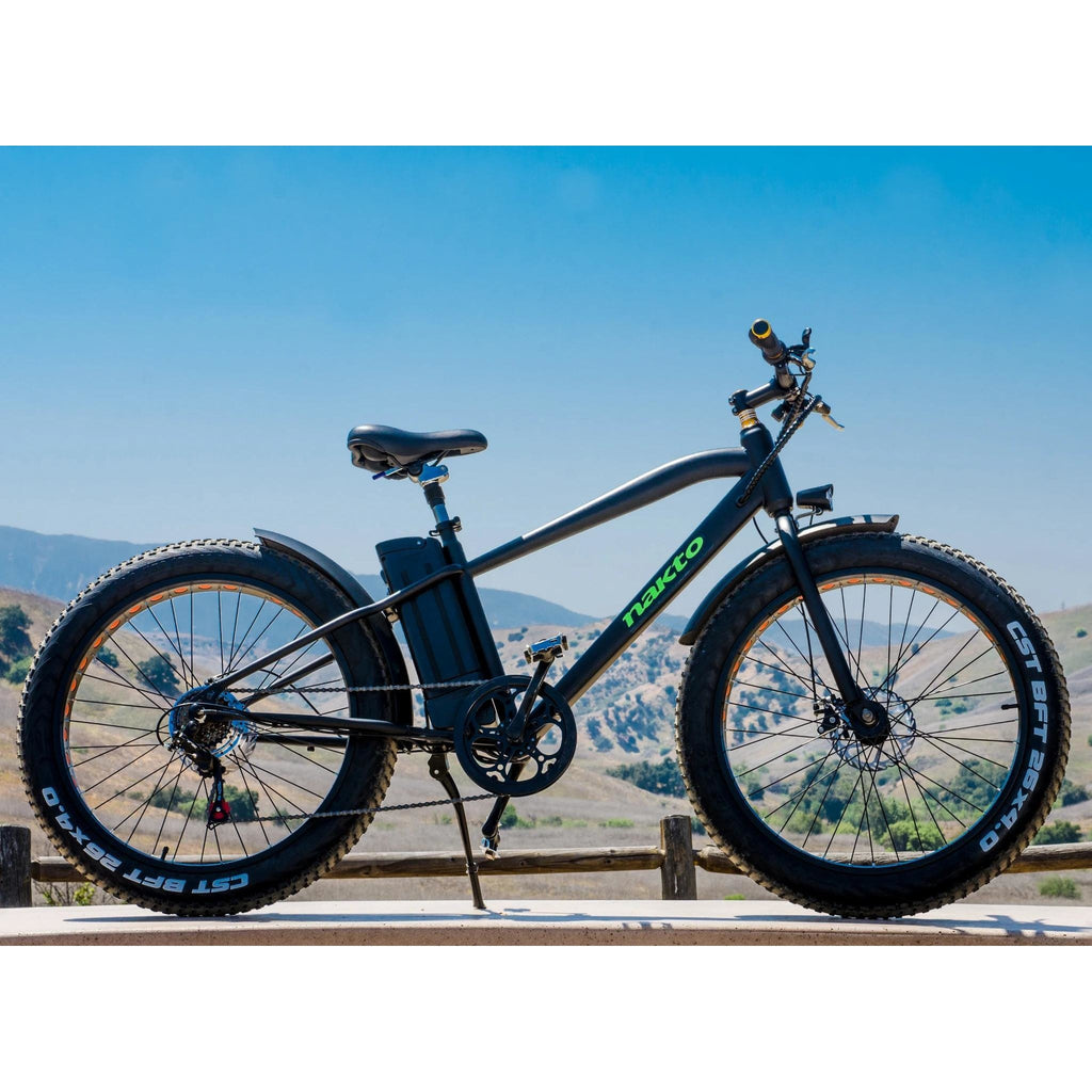 300 watt electric bike