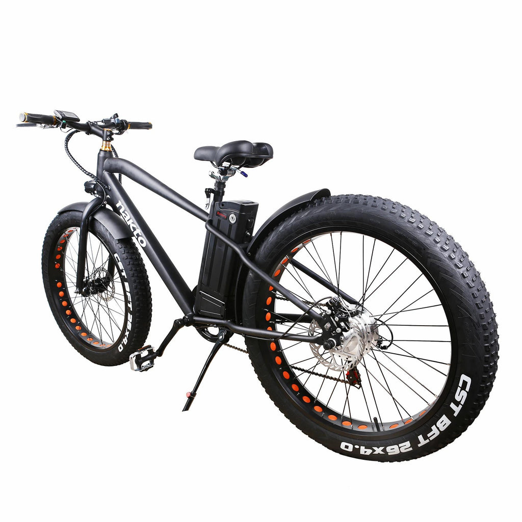 300 watt electric bike