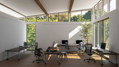 Eco-Friendly Workplaces: 3 Office Interior Design Trends Shaping Sustainability in 2023