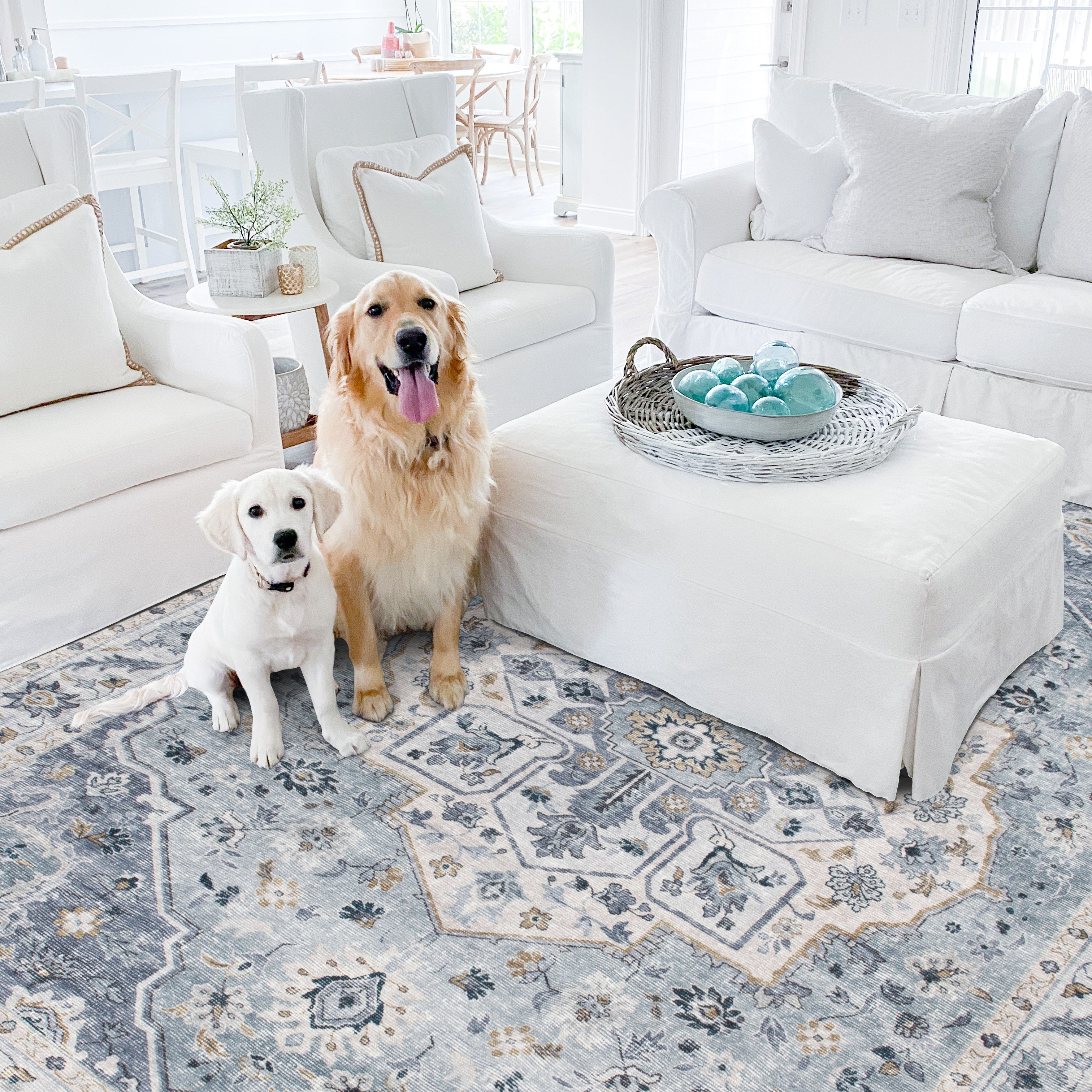 what are the best rugs for dogs