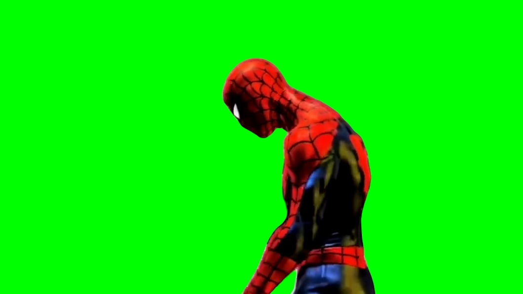 Sad Spiderman Meme (Green Screen) – CreatorSet