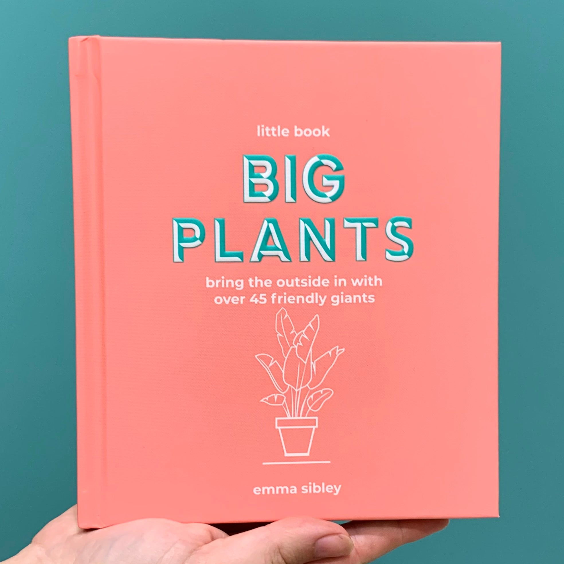 the little book of house plants and other greenery by emma sibley