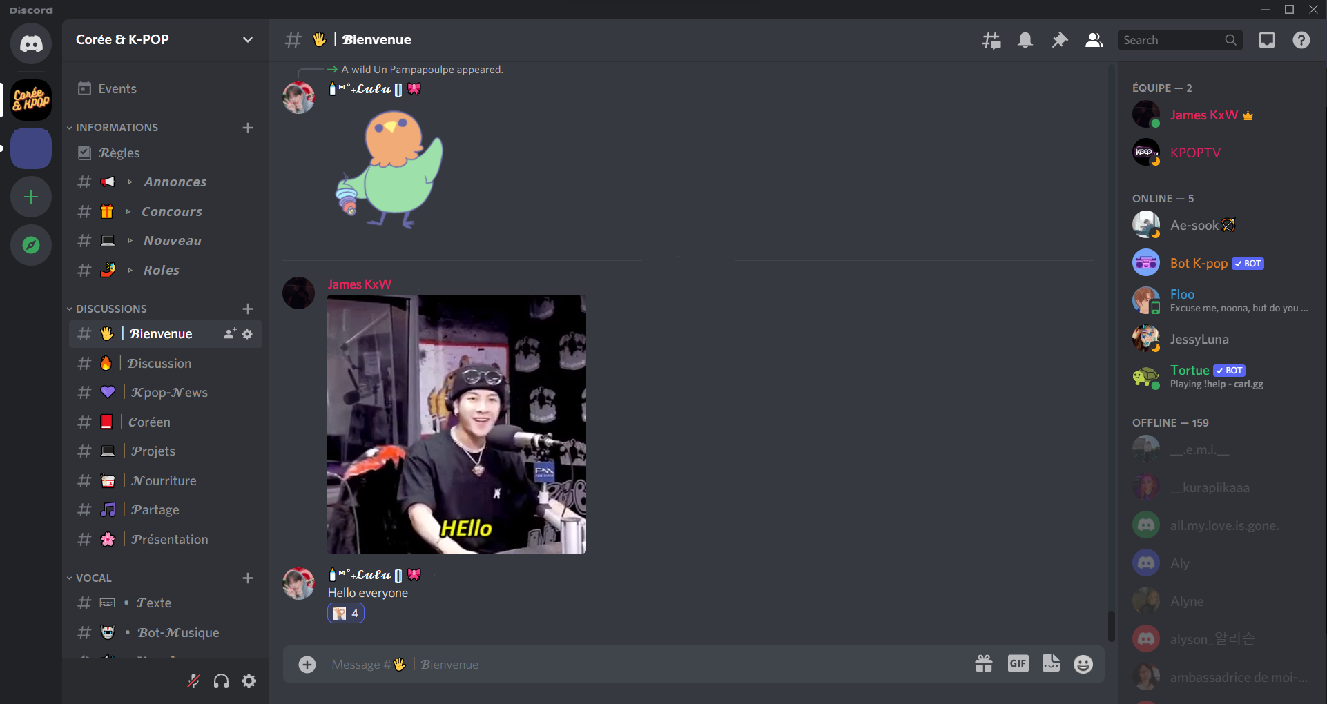 Réseau social Discord Screen