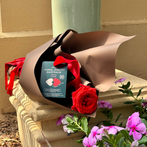 Floral Atelier Australia presents the Elegant Ferrari Red Rose, a symbol of pure affection, wrapped with precision and adorned with a velvet ribbon. This single rose represents a timeless romantic gesture, available for same day flower delivery from the premier florist in Adelaide.