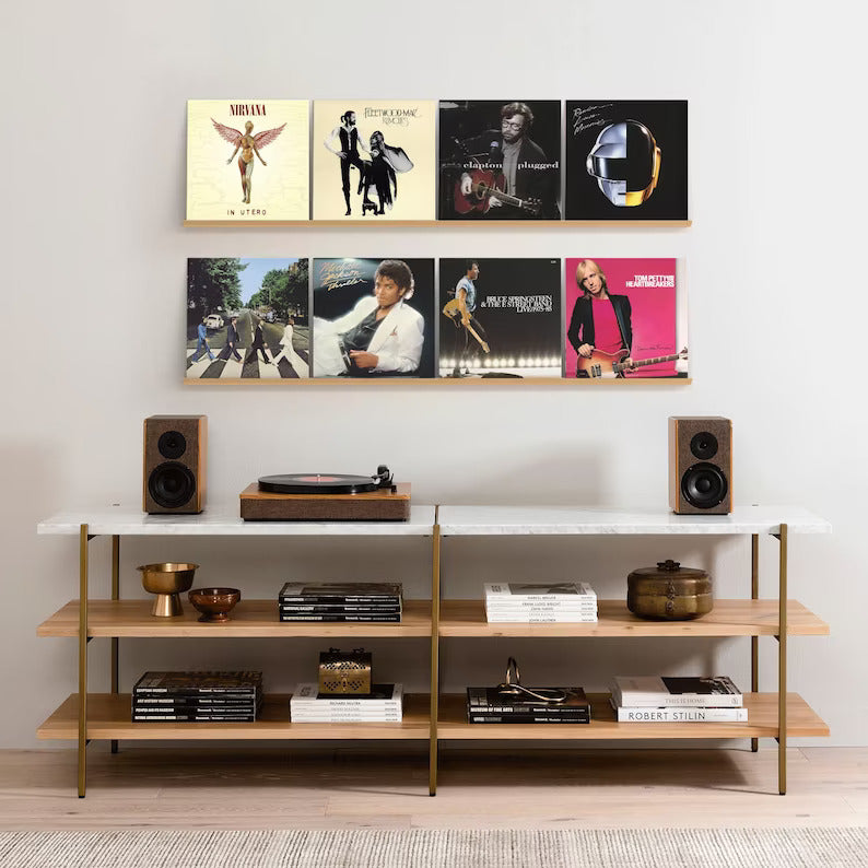 Vinyl records on a display rail.