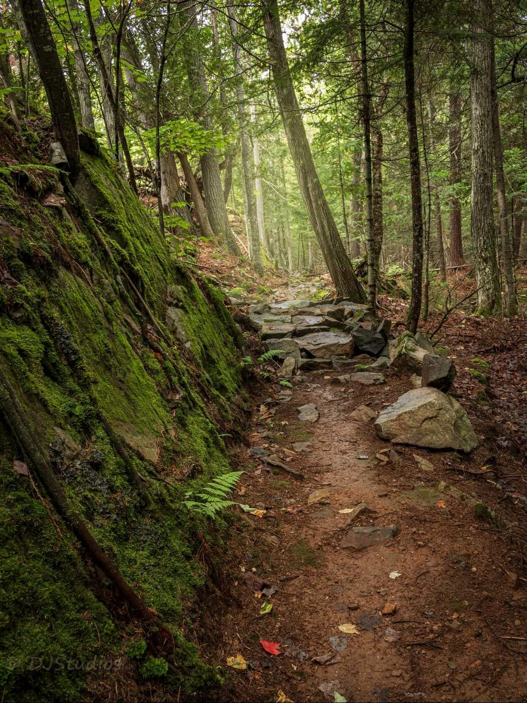 Powel Peak Trail