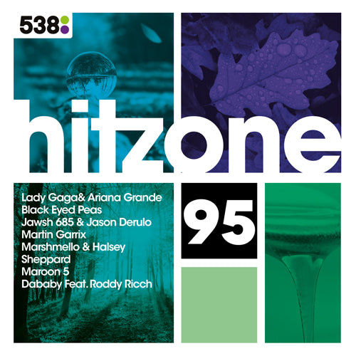 Ritueel kiezen Sinds 538 Hitzone - 95 (CD + Buttons) - Various Artists | Platenzaak.nl