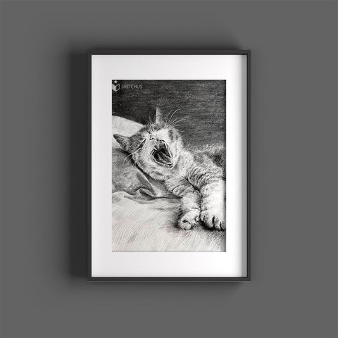 Cat painting cat drawing black white pencil sketch sketchus