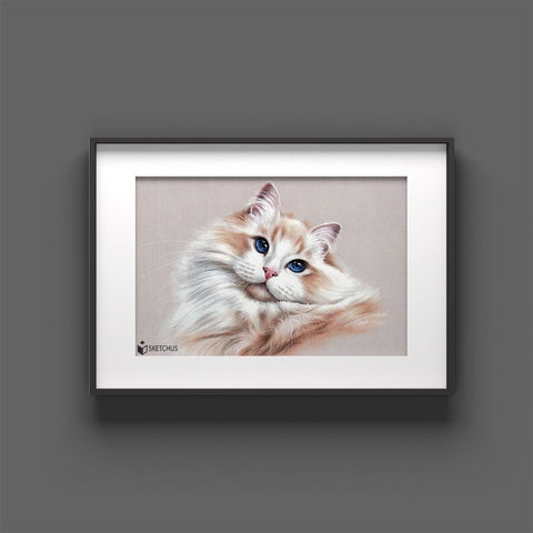 Katze Portrait malen lassen Katzenzeichnung Buntstift Katzengesicht Gemälde gemalte Skizze Sketchus