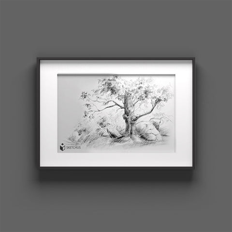 Landscape pictures to paint nature with pencil step by step trees painted easy learn Sketchus