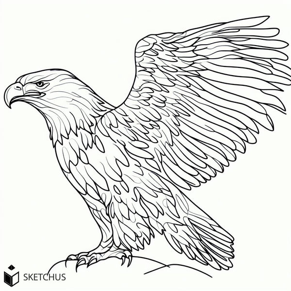 dessiner un aigle