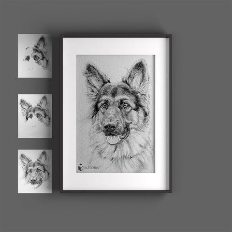 Have an animal portrait drawn - price list Sketchus have pets painted according to photo templates have animals painted pet portraits