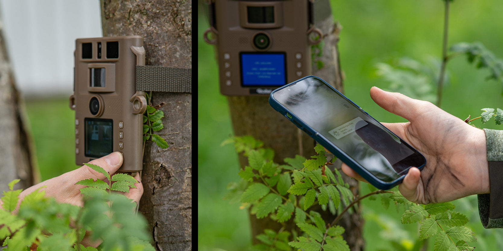 Komfortable Bedienung: Verwaltung der Aufnahmen und Einstellung der Funktionen über integrierte Tasten oder über kostenlose Wildlife Cam App auf dem Smartphone