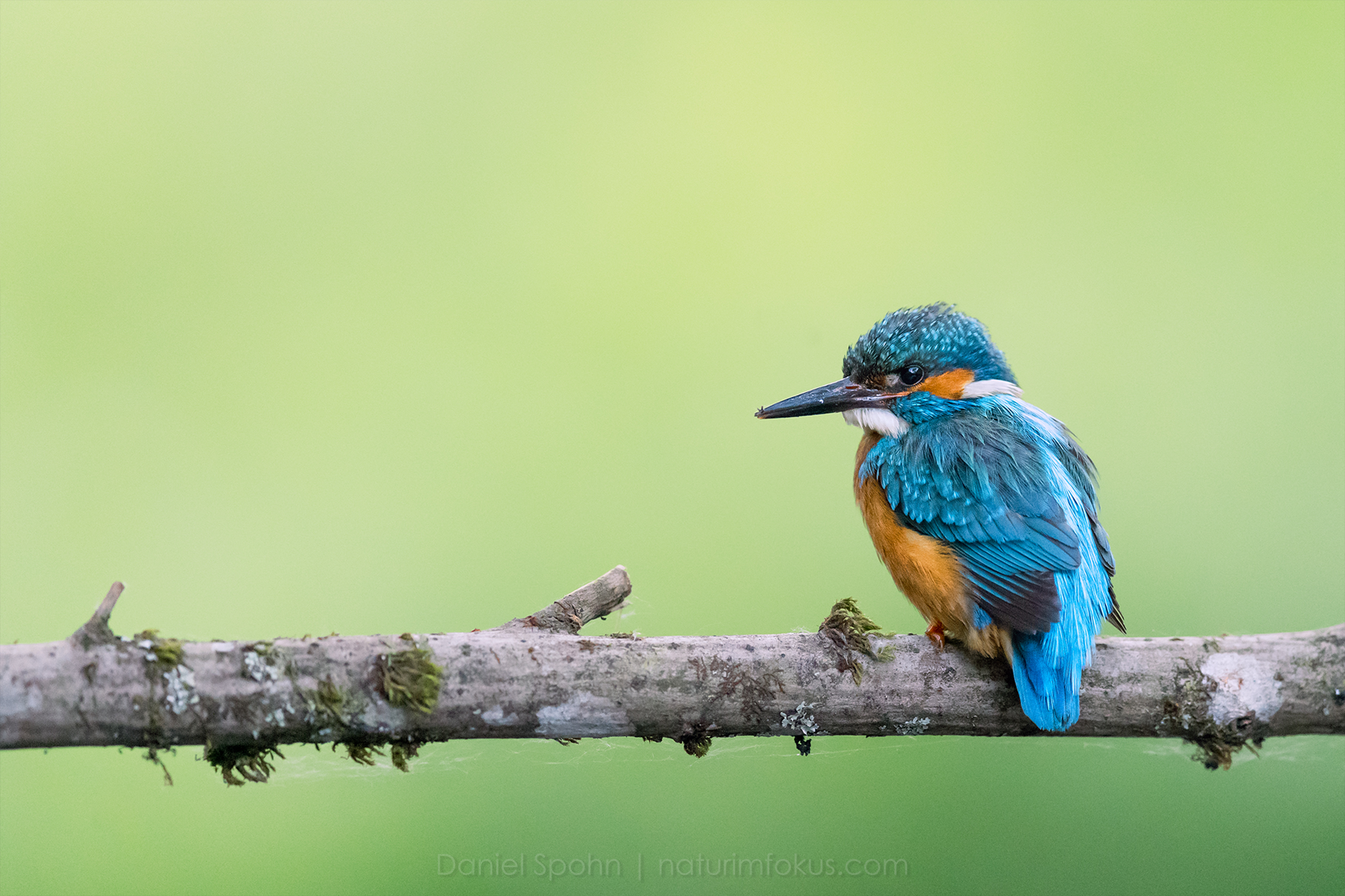 Fernauslöser in der Fotografie