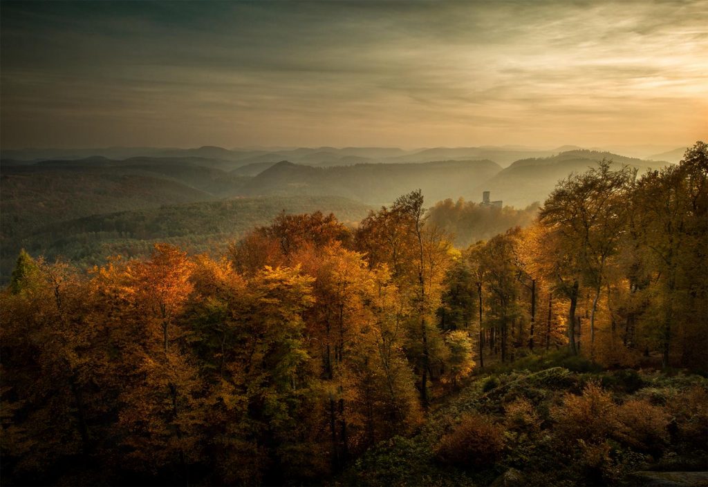 Landschafts Fotografie